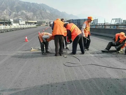 东海道路桥梁病害治理